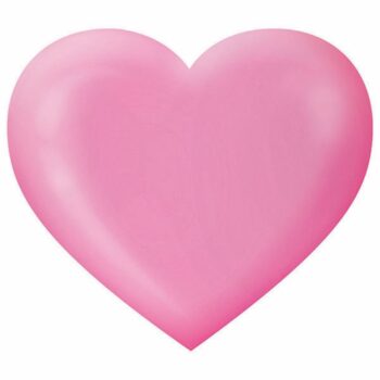 Kyoto Cherry Blossoms