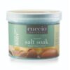 Artisan Shea & Vetiver Scentual Salt Soak 882g (29oz)