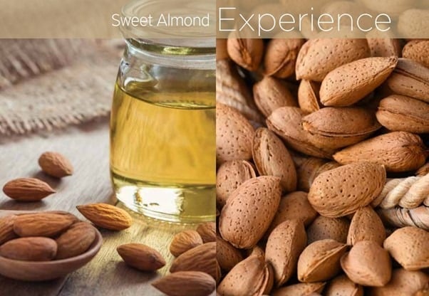 Cuccio Revitalising Cuticle Oil - Sweet Almond - 240ml (refill) - Image 3