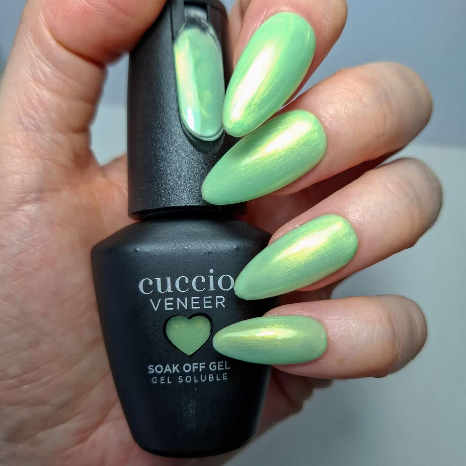 Mediterranean Mint - Image 4