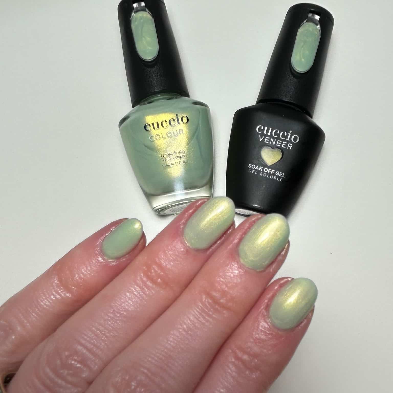 Mediterranean Mint - Image 6