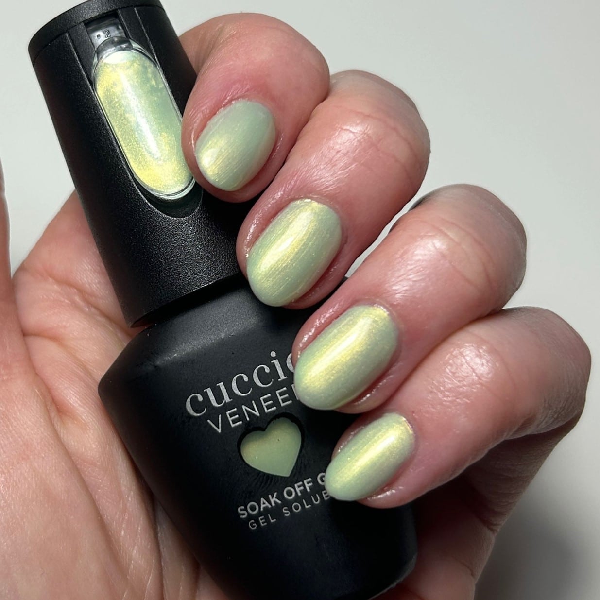 Mediterranean Mint - Image 8