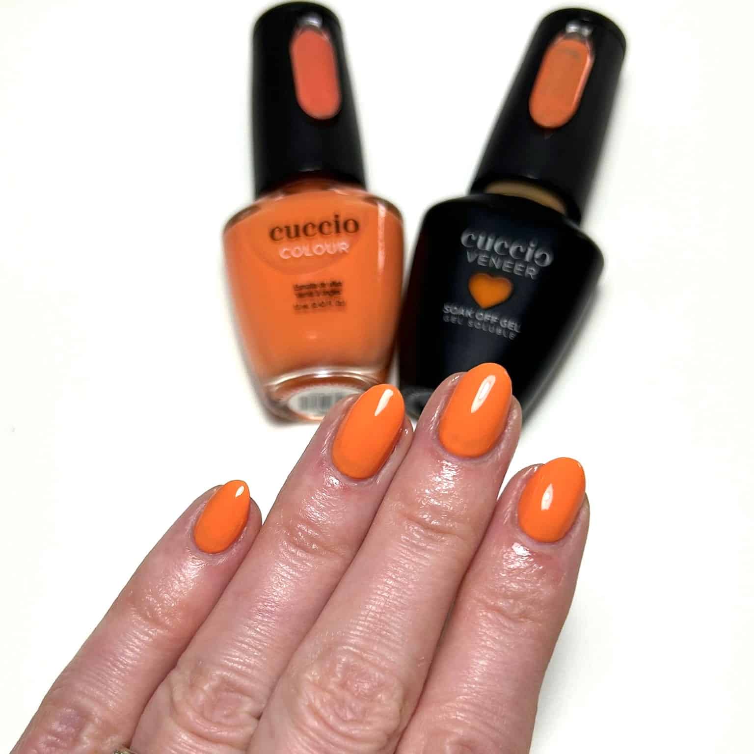 Molti Marigold - Image 6